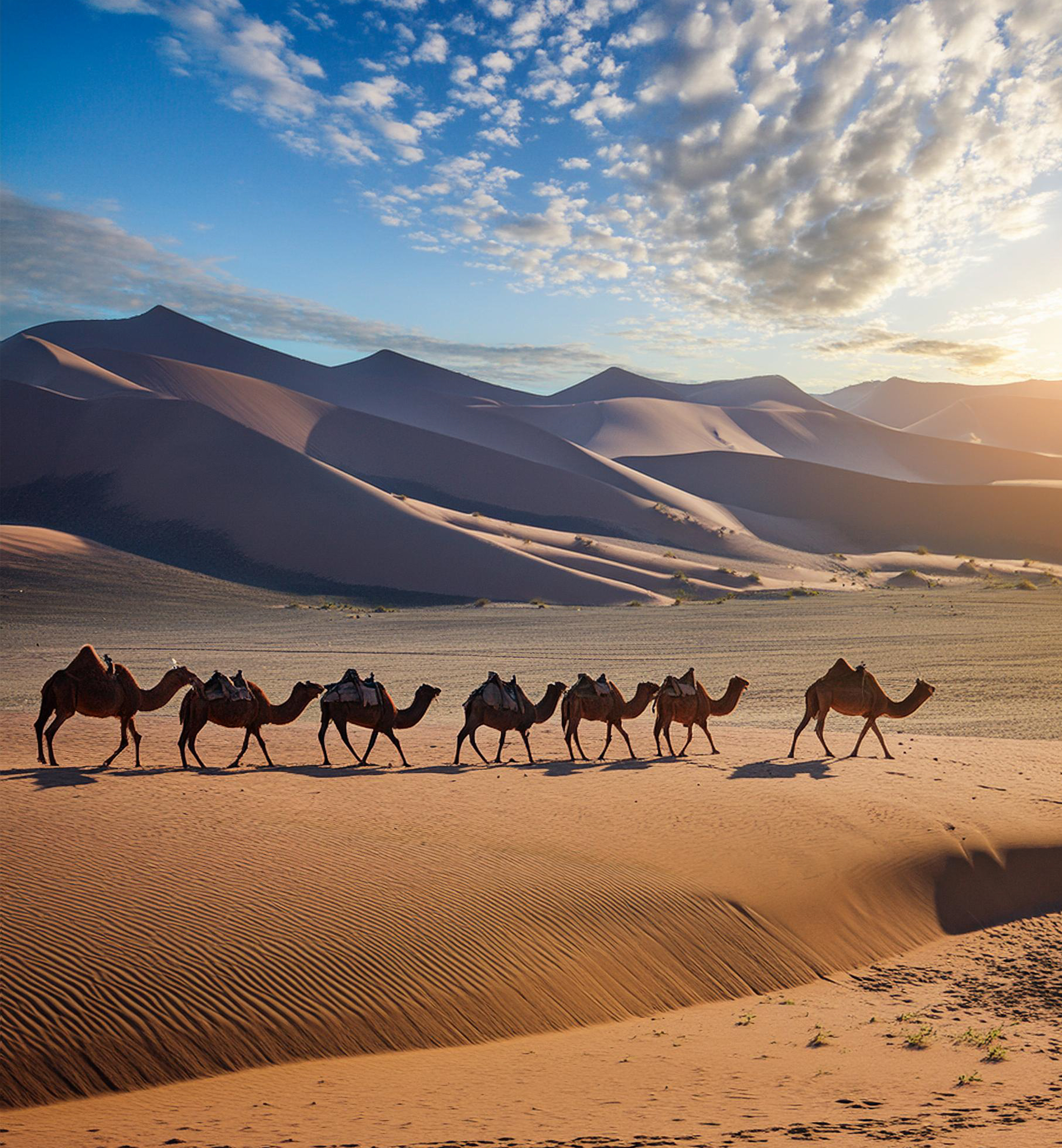 Дотоод аяллын даатгал